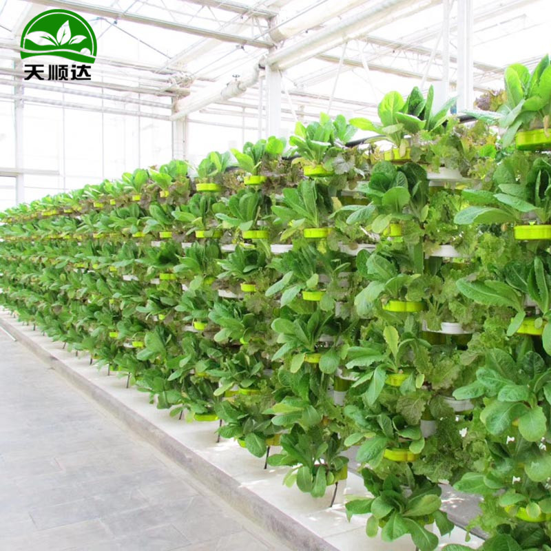 d11e0142702c758bfcd6617946fd91