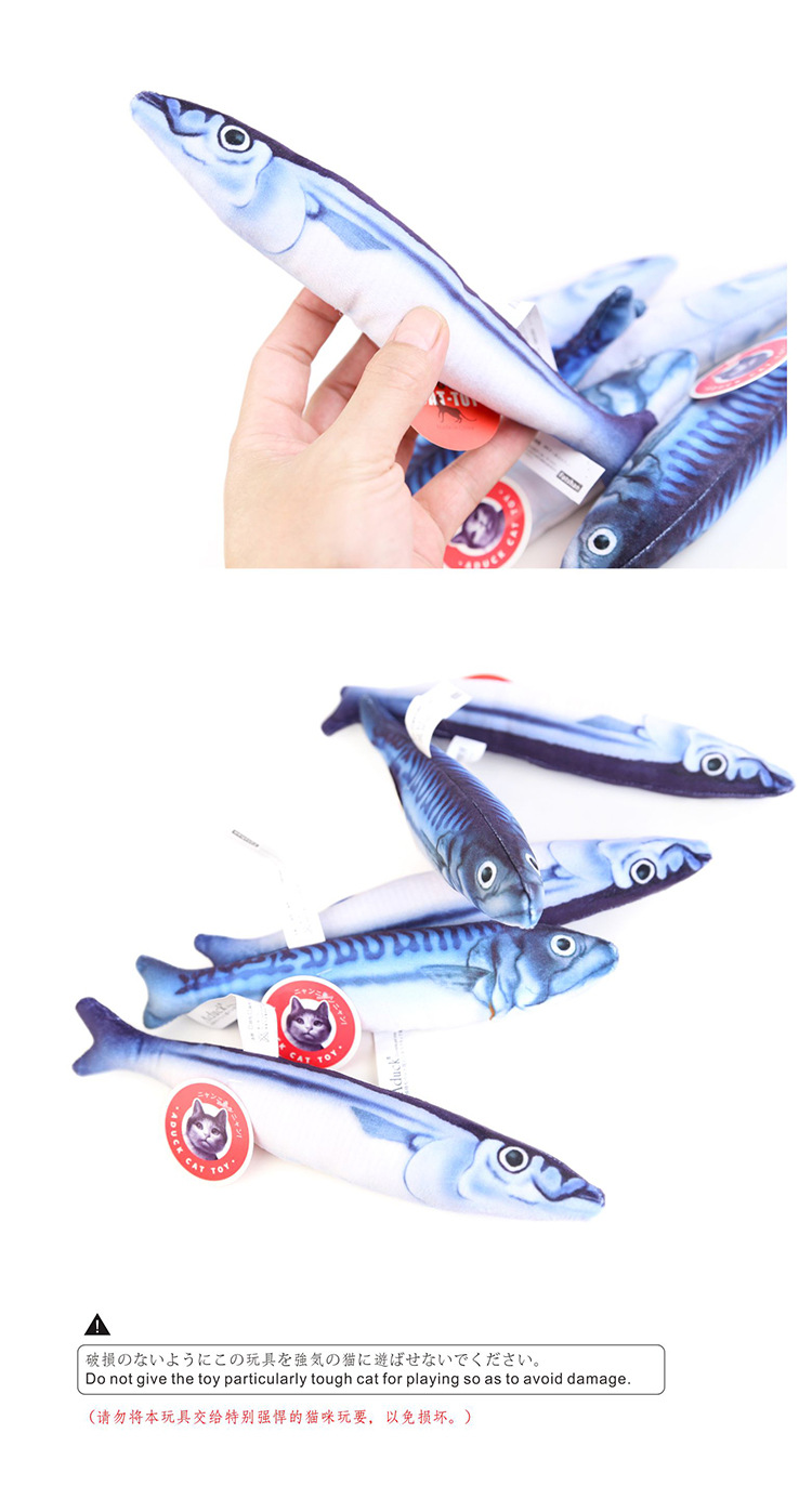 说明4