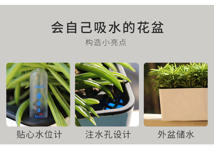 详情页_02.jpg