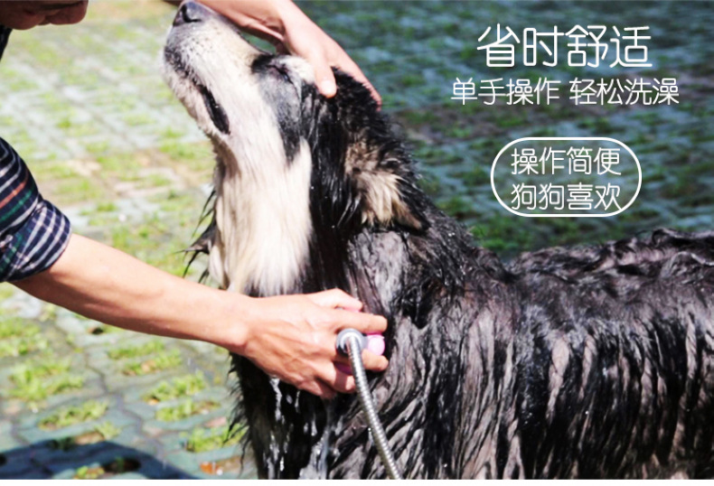 宠物沐浴器主页  (7)