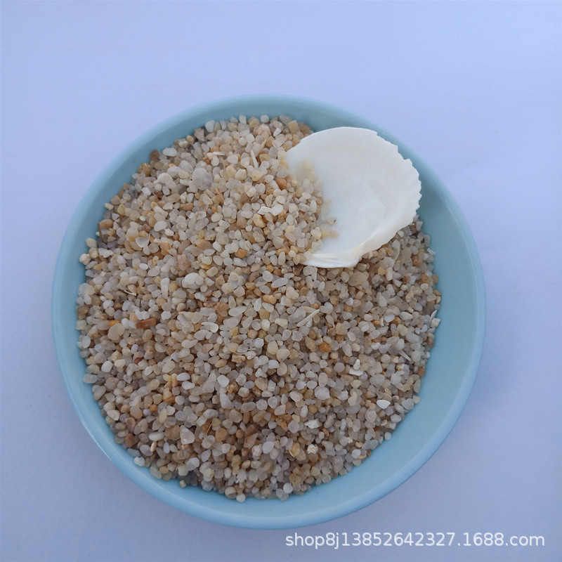 IMG20181124125927.jpg