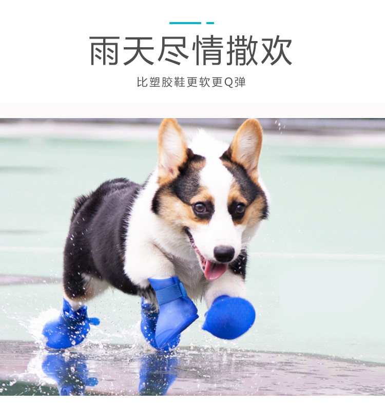 硅胶宠物鞋套详情_02.jpg