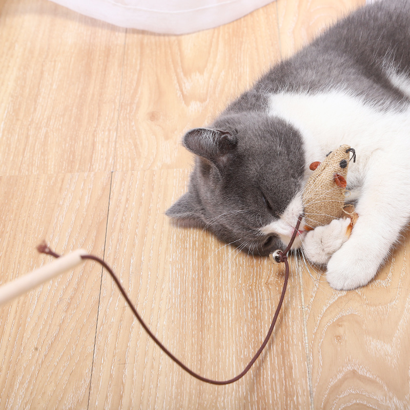 盒装木杆逗猫棒七件套6
