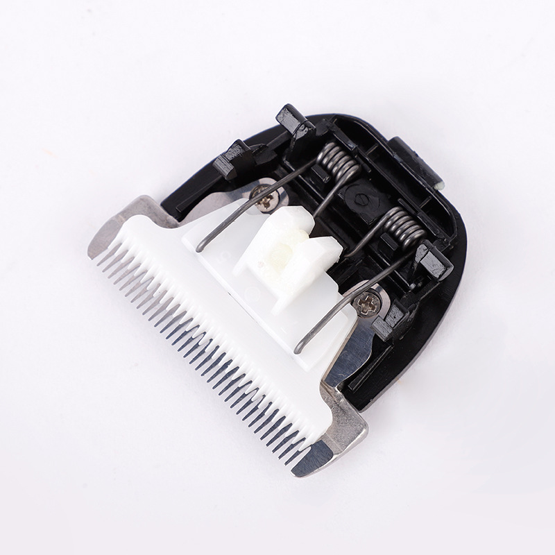 12938832645_1301196049