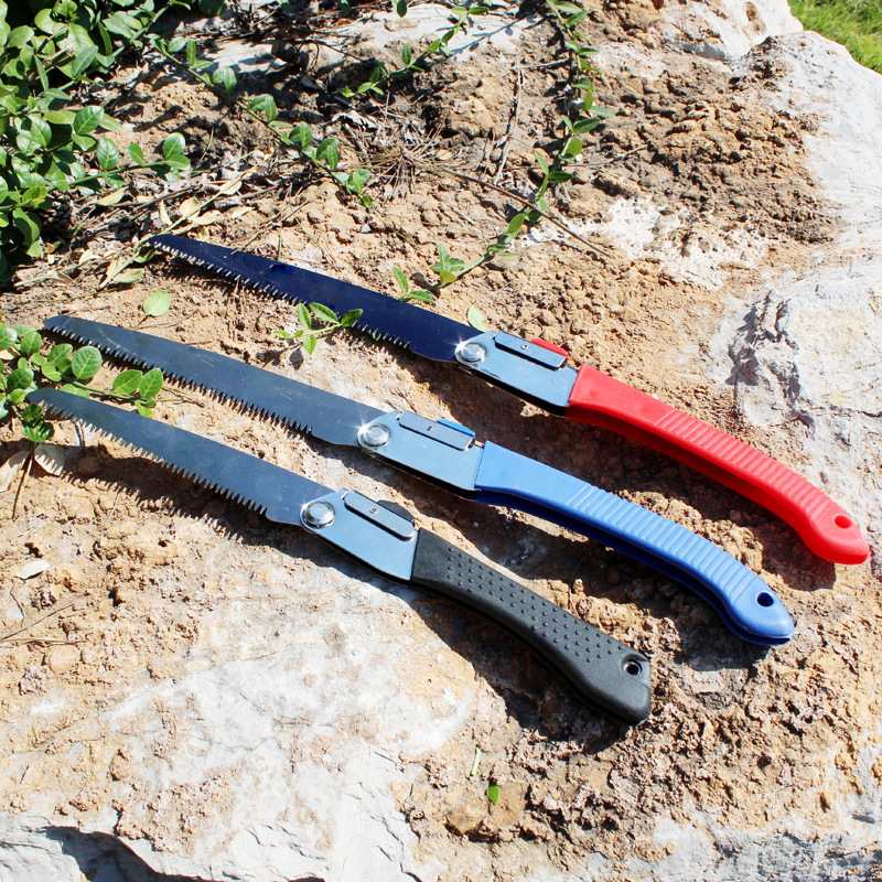 10414246926_557681559