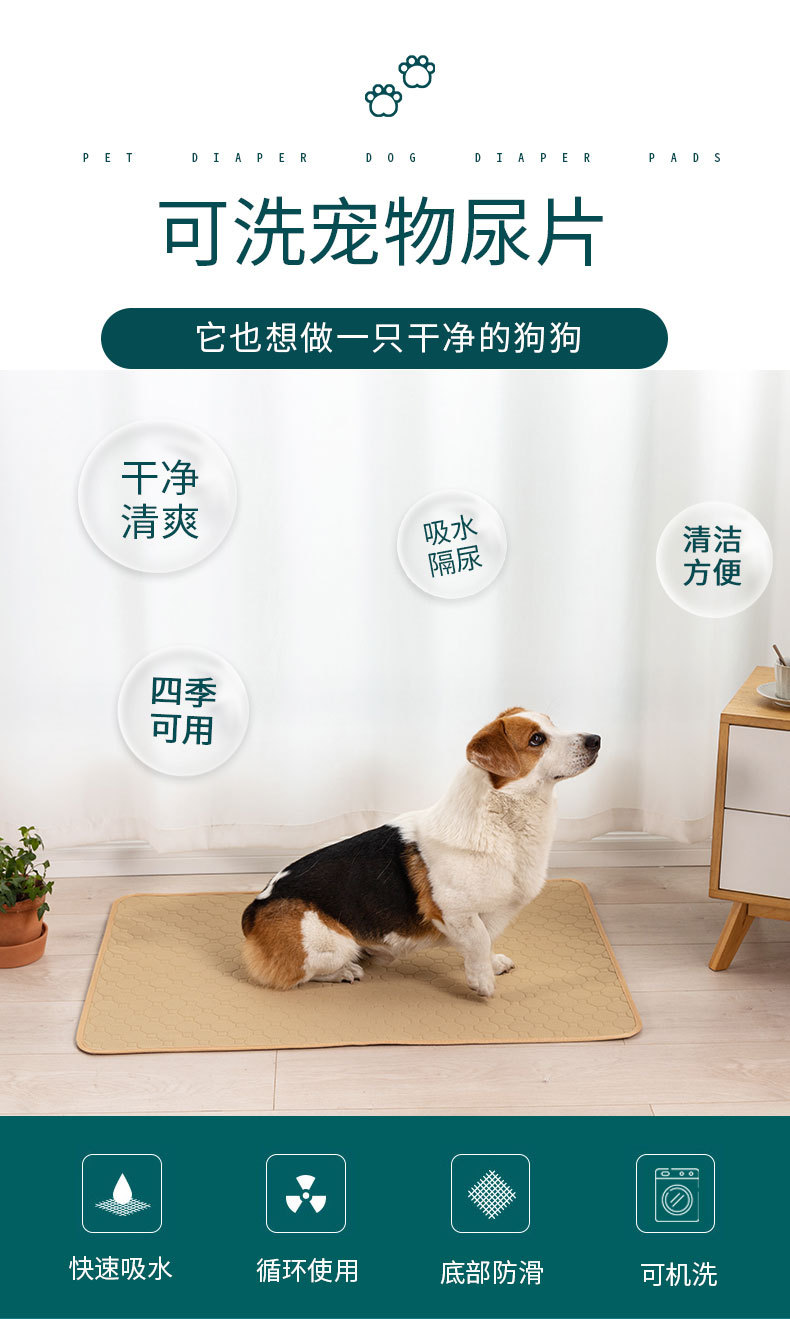 狗狗尿片_01