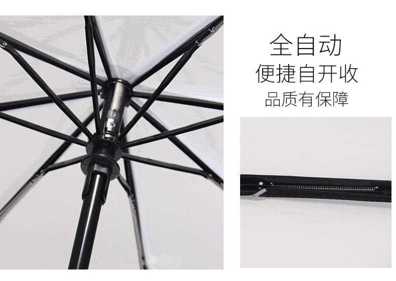 小雏菊伞_14.jpg