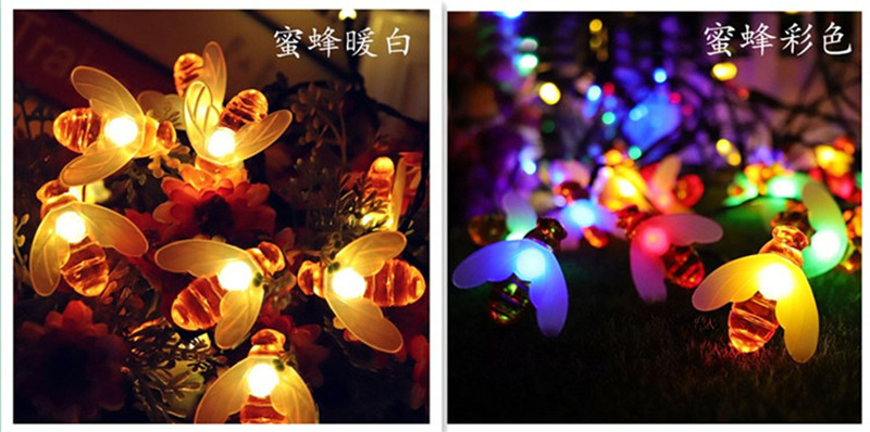 10911178647_1221643486