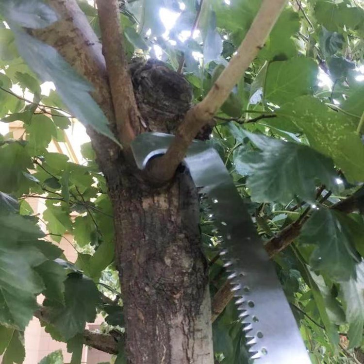 微信图片_20200925133702