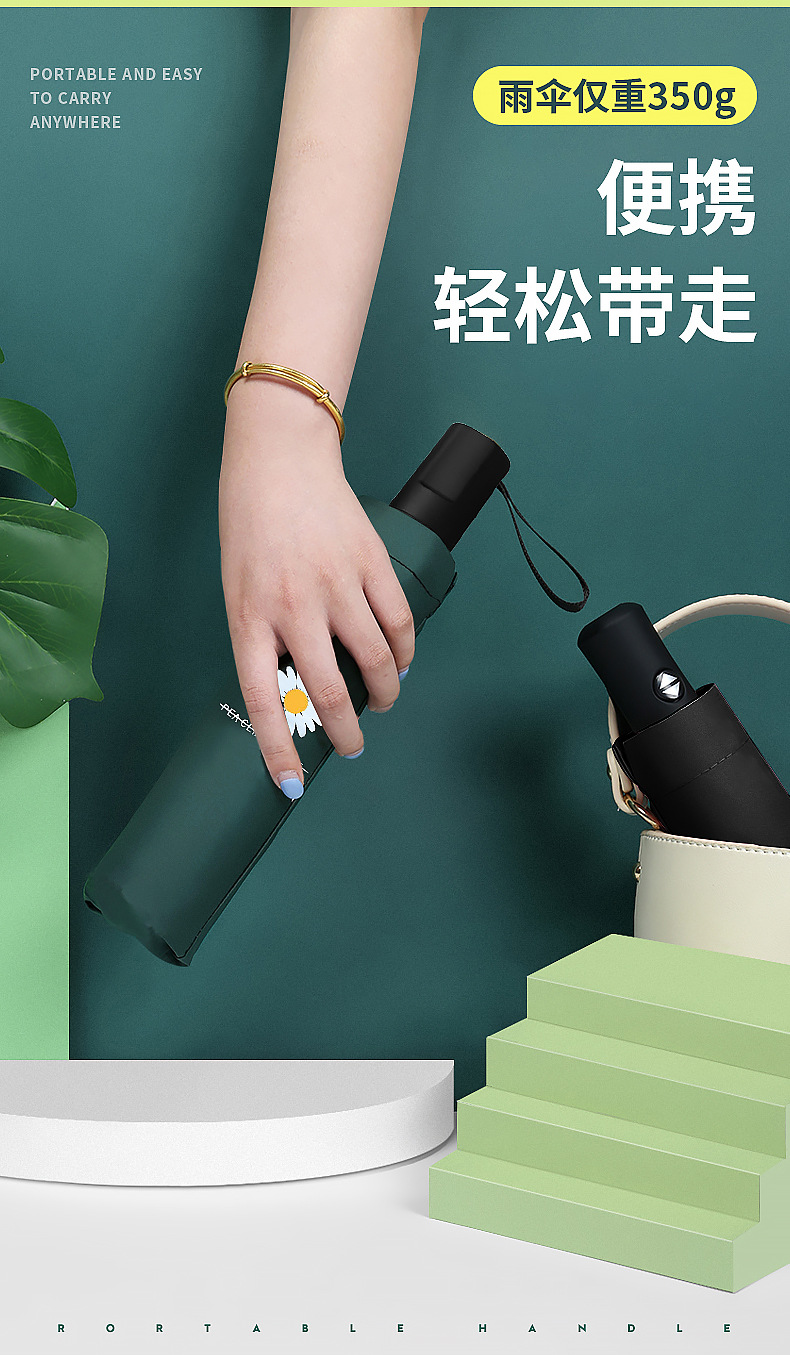 小雏菊内页_03