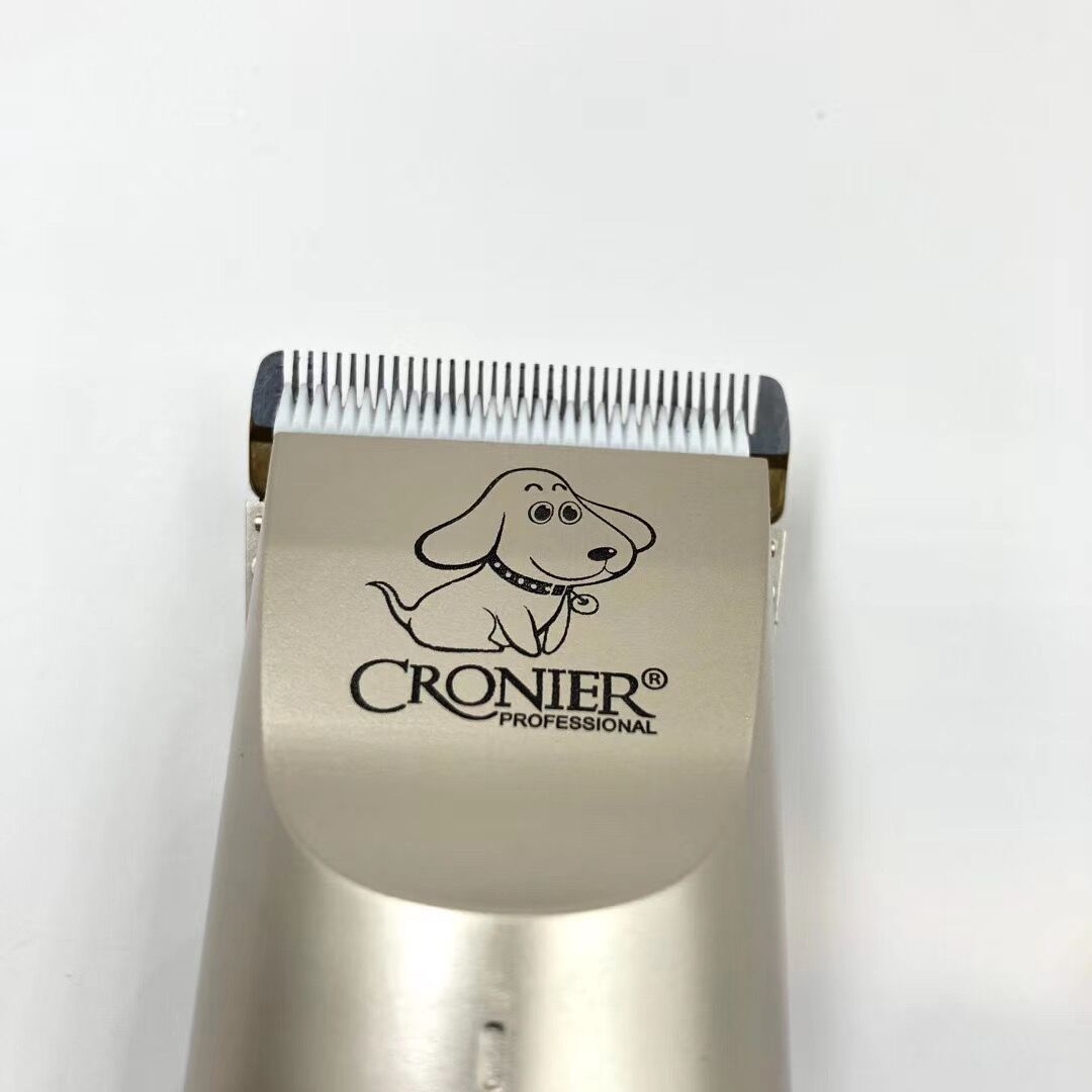 QQ图片20200816100117