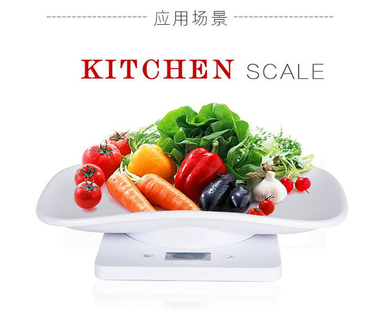 12410718362_1818765427_05.jpg?x-oss-process=image/format,png