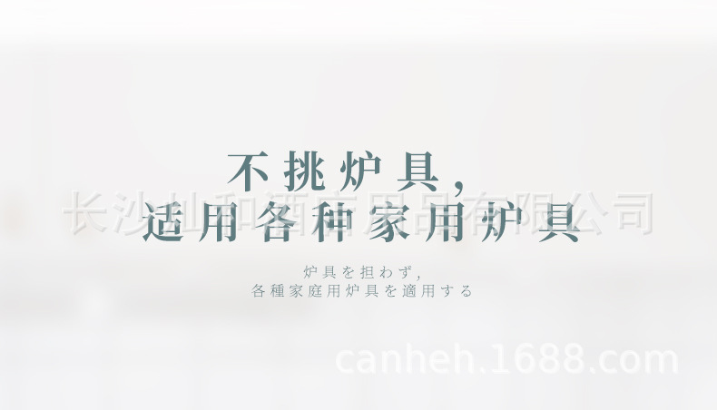 岩谷ZB-19M(蓝色）_19