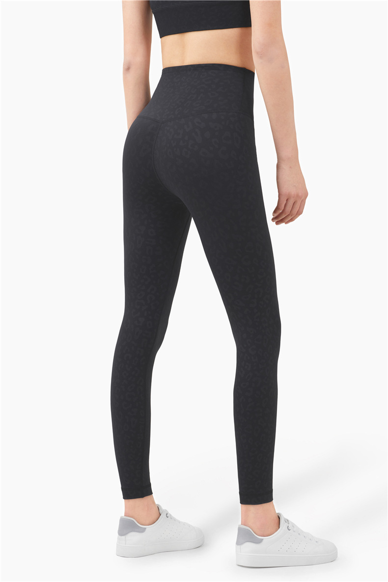 无题目录 06949.jpg