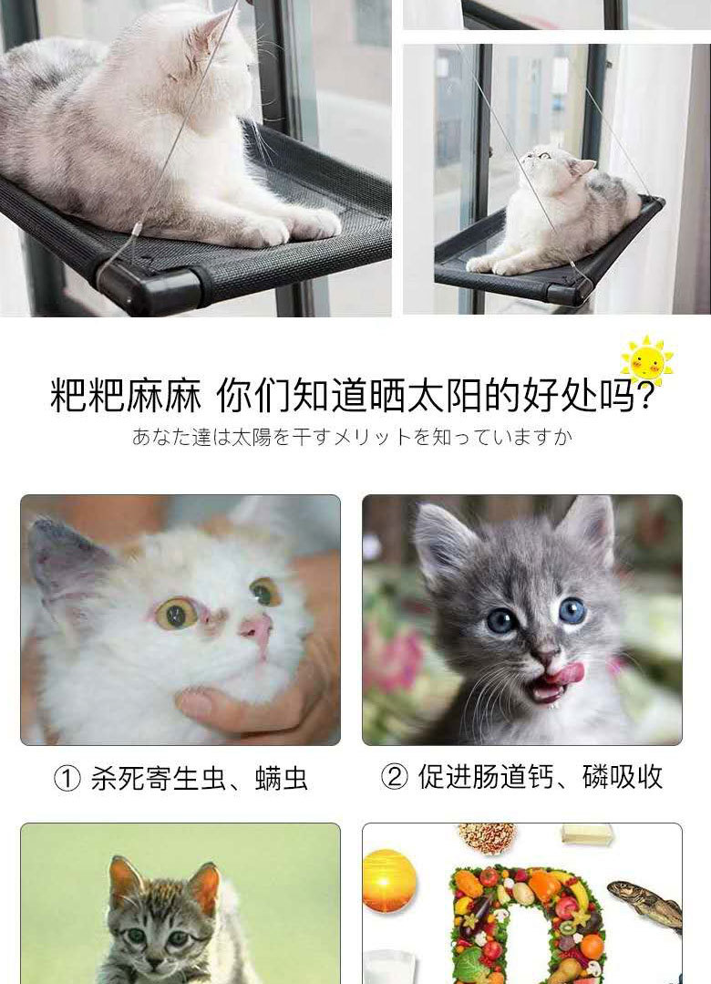 猫吊床_02