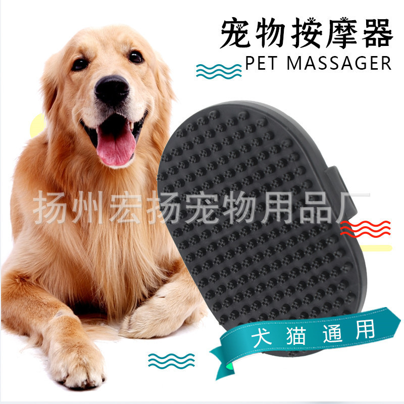 11803692956_1376705899