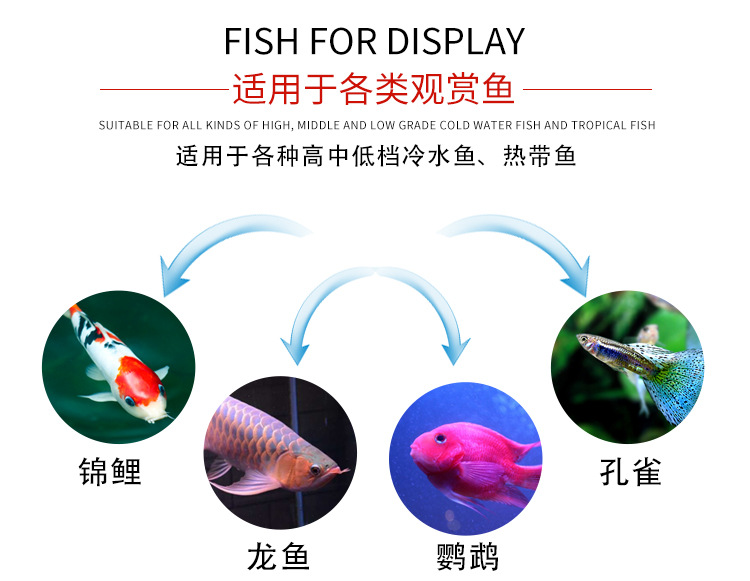 海盐详情切片_03