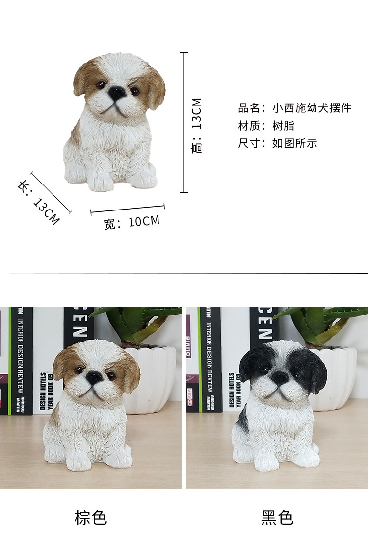 小西施幼犬_05.jpg