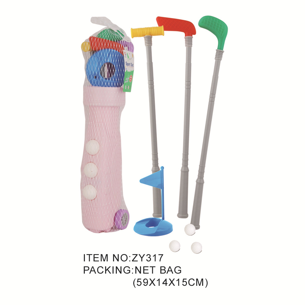 ZY317