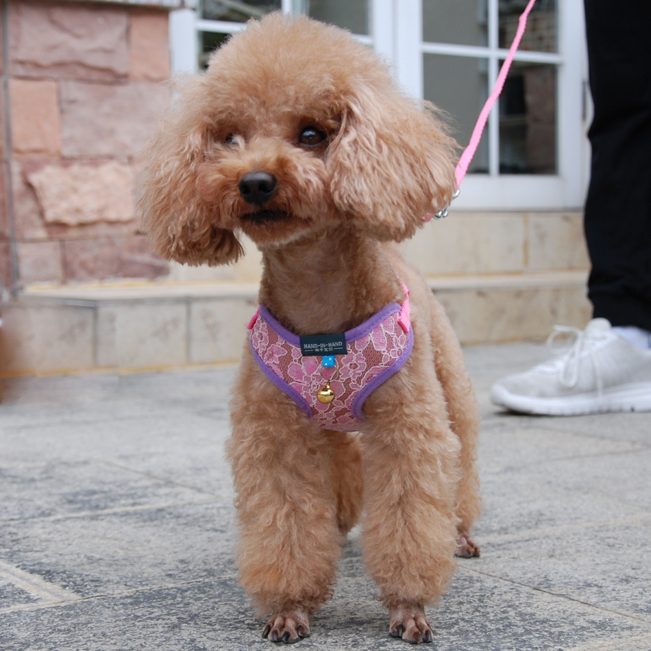 pet products harness vest mesh