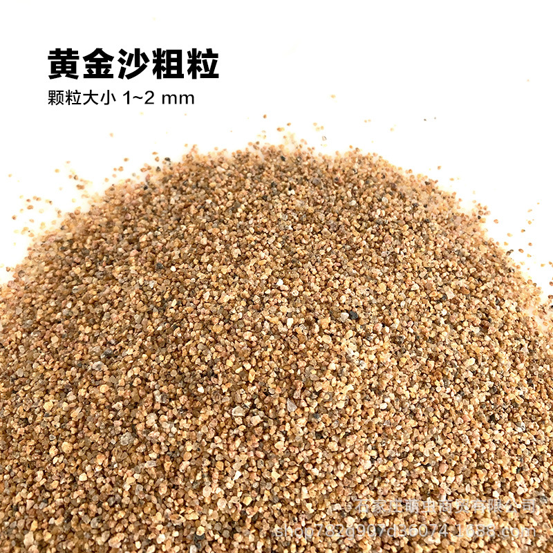 D_0015_黄金沙粗粒.jpg