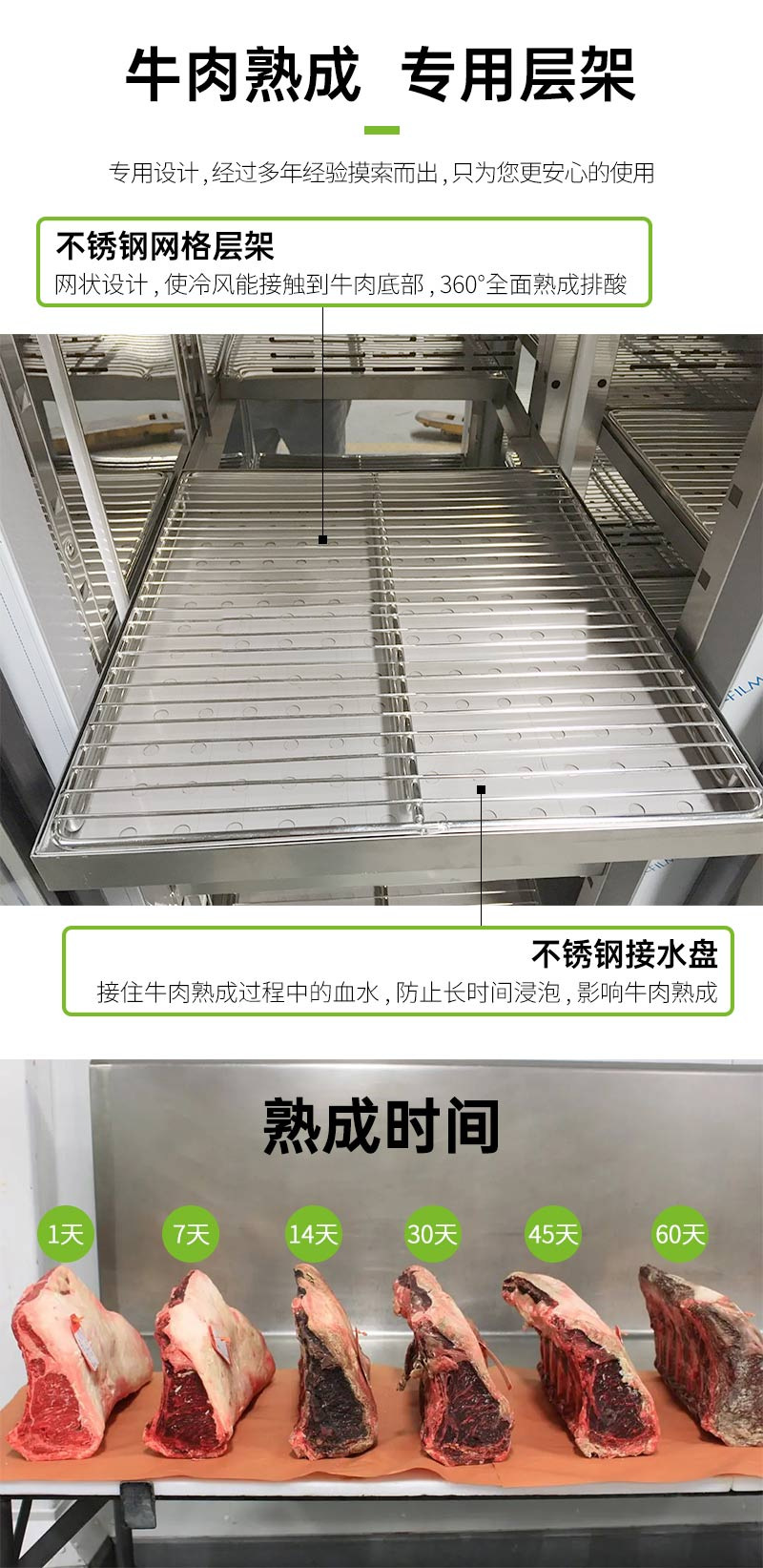 102ad984-1f17-4c55-ac25-319300