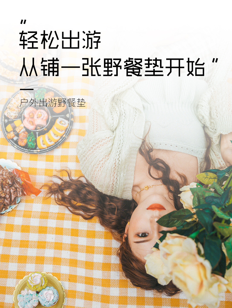 网红野餐垫1