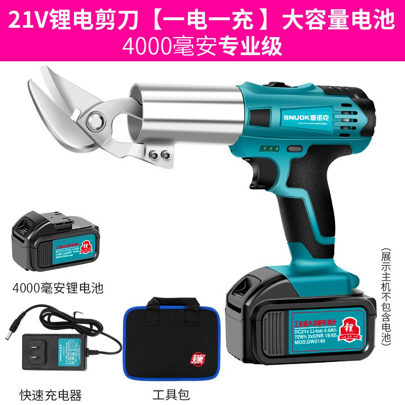 21v-4000-1电-专业_副本