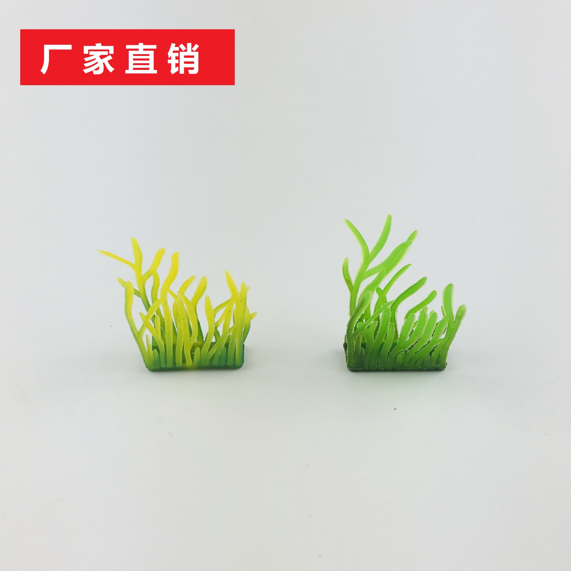 方草1