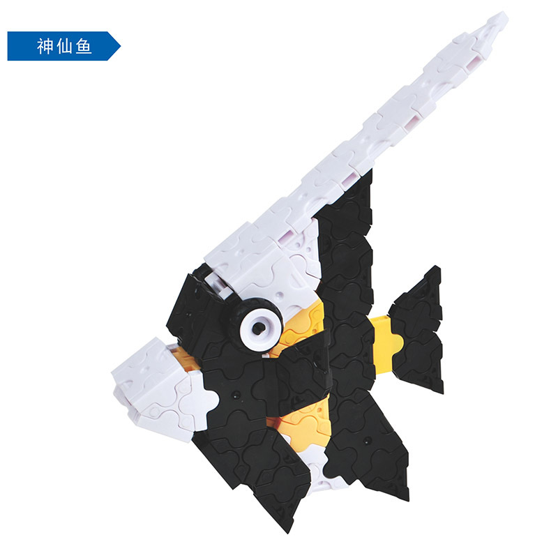 LJ665三只小鱼 (4).jpg