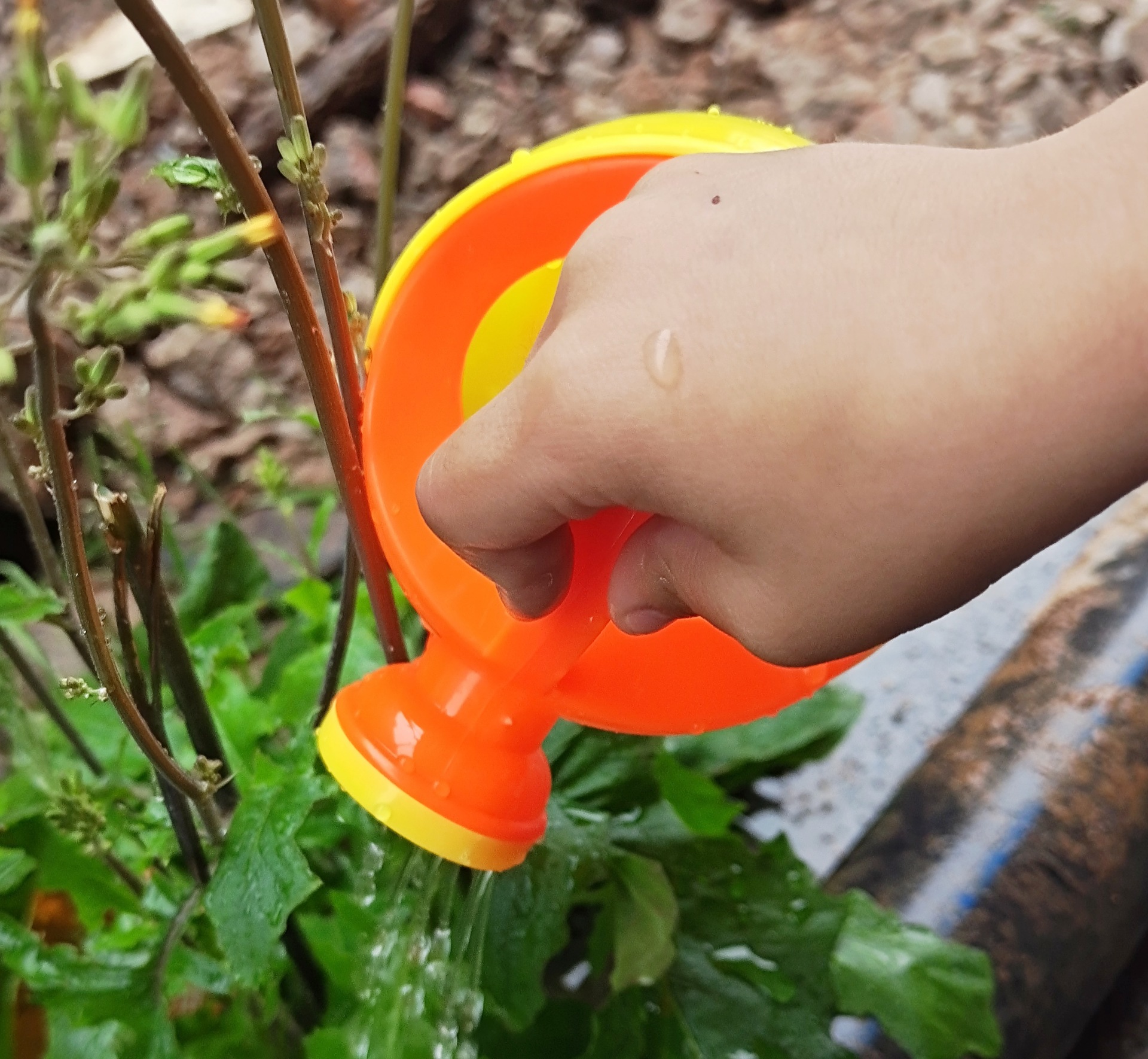 F58545B4D336188B565A4DD2E842F8