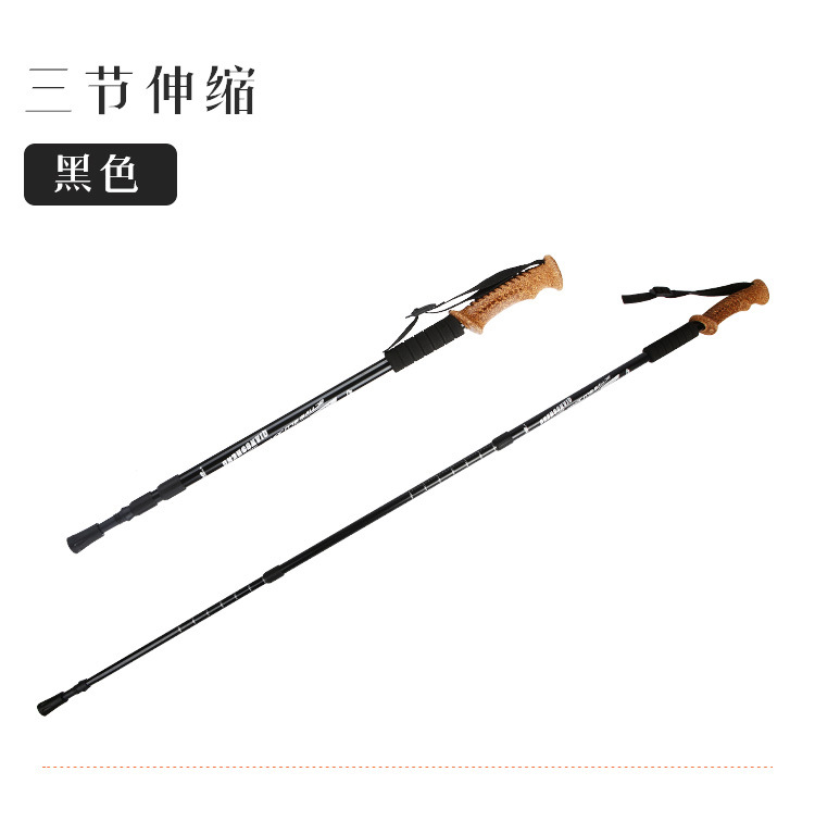 登山杖-7-拷贝_06.jpg