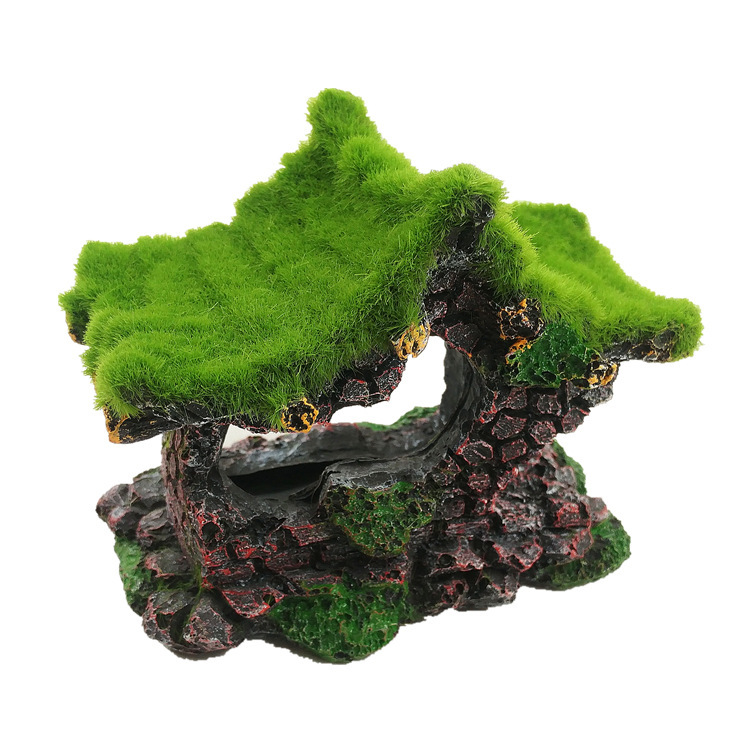 破屋子 (1)