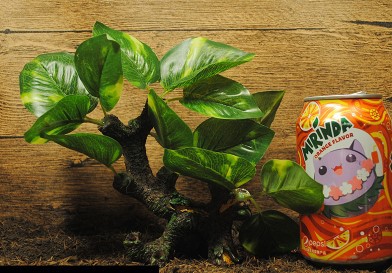 微信图片_20200319141204