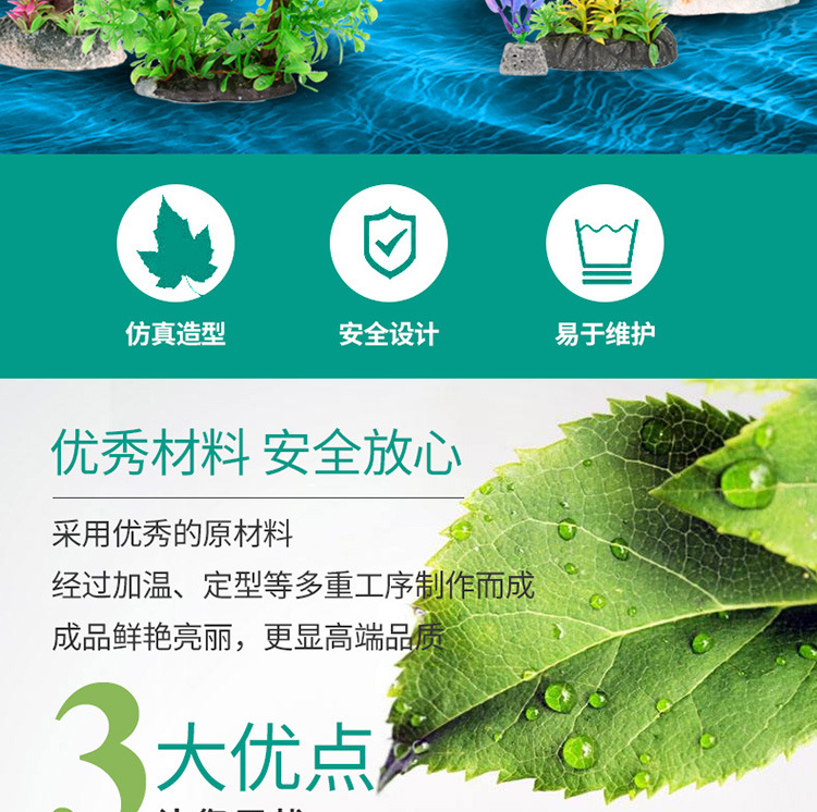 水草-详情750_02.jpg