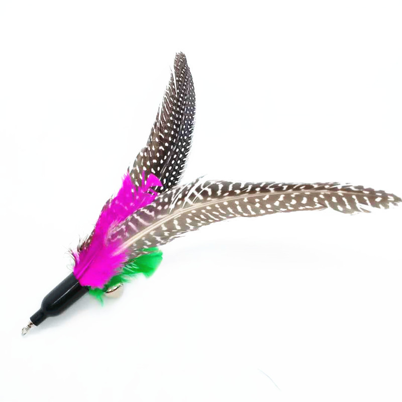 微信图片_20200927173541