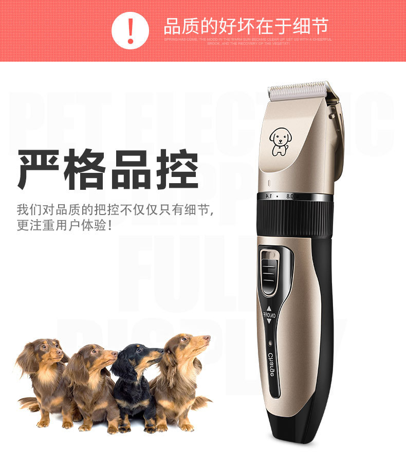 K5金色详情_14