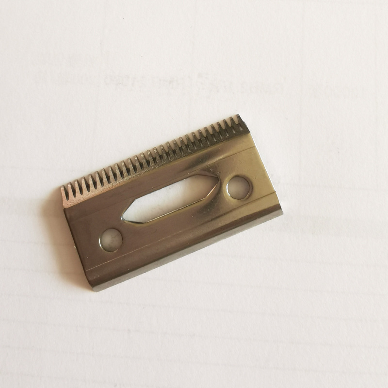 808IMG_20200407_130331