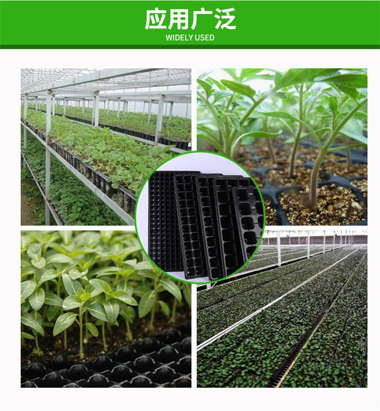 塑料盘750_09.jpg