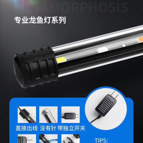 54f3868f5c7c7db415d04071dfcad2