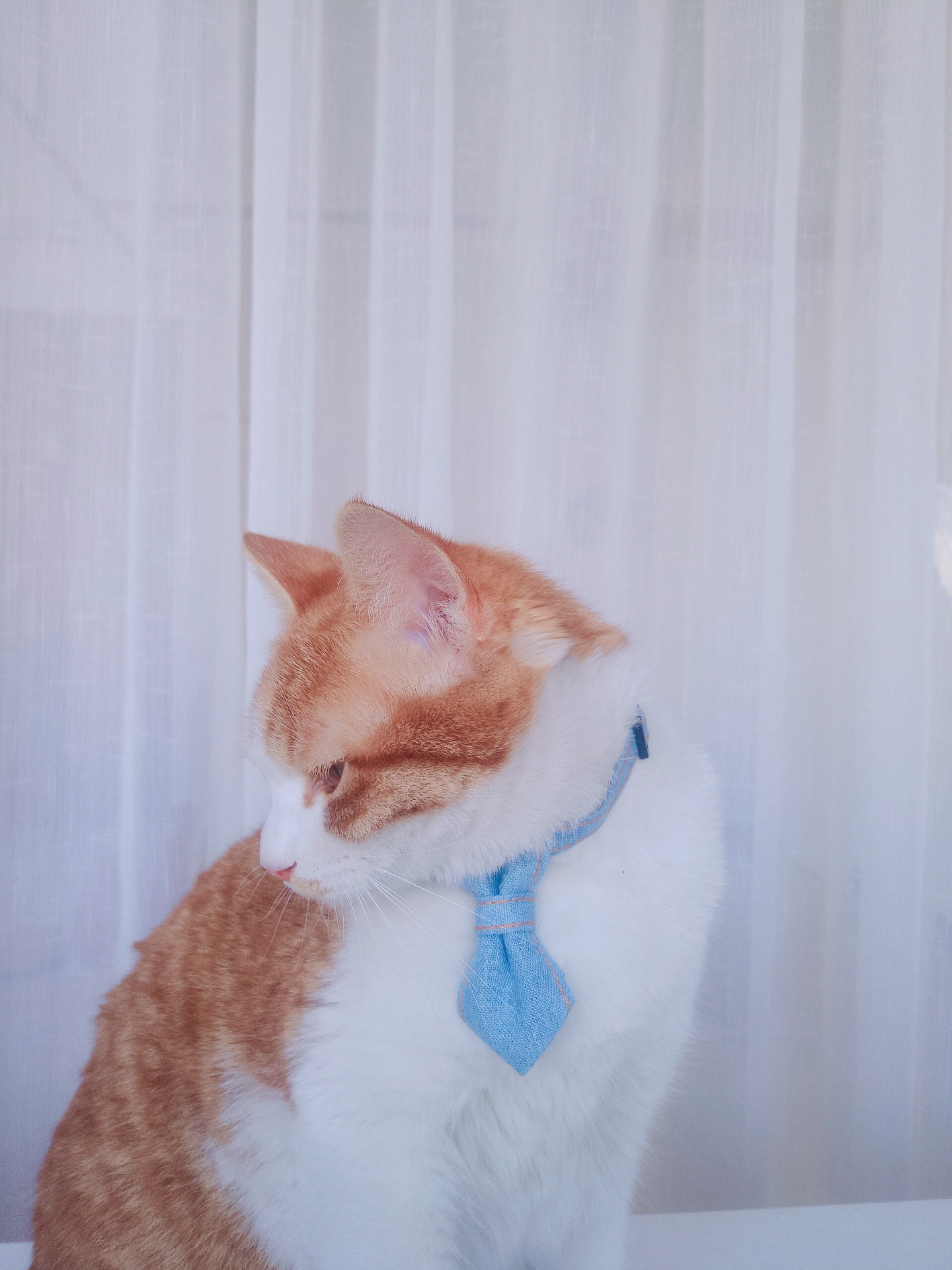 微信图片_20200318110122