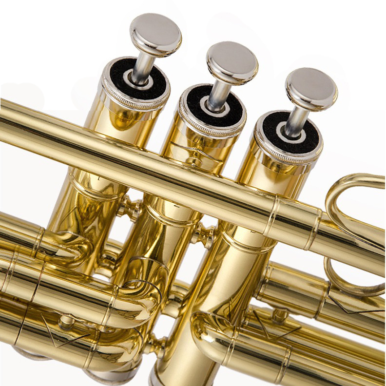 O1CN01VnNdR01NdB4UuFlUy_!!1200