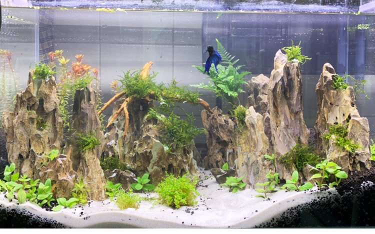 松皮石切平冲洗详情页_01 (11).jpg