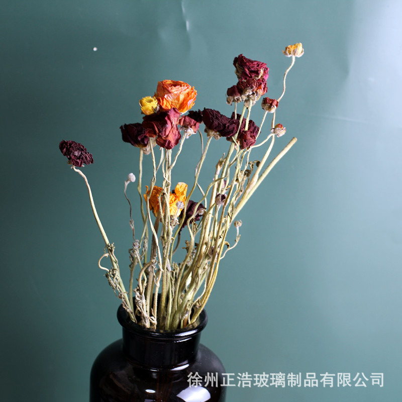 IMG_7790_副本.jpg