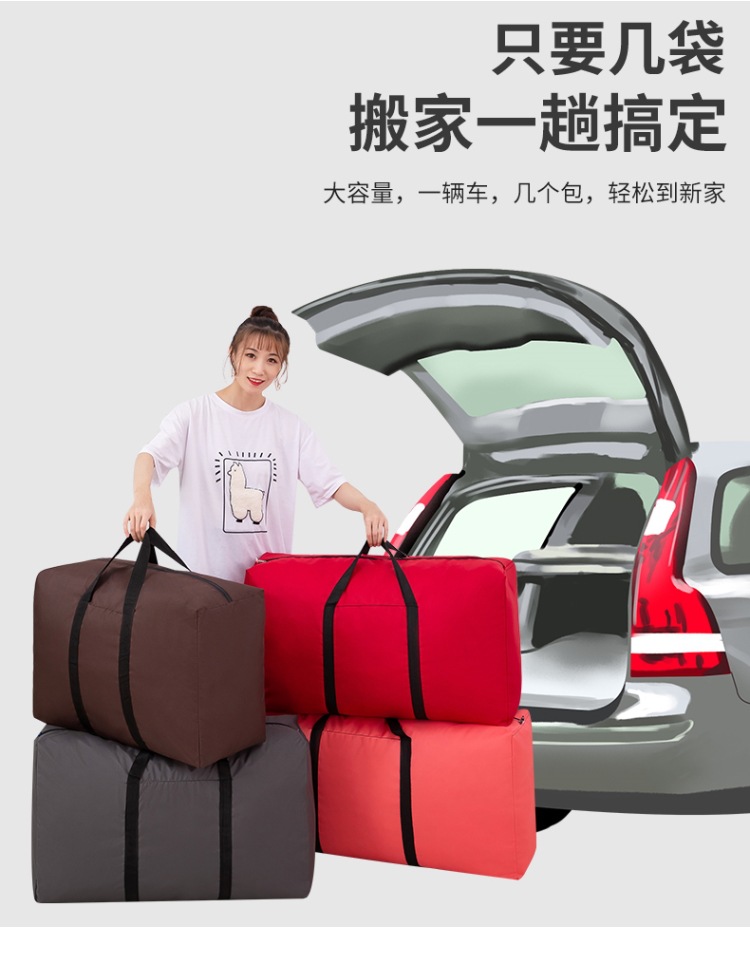 搬家袋 (3).jpg