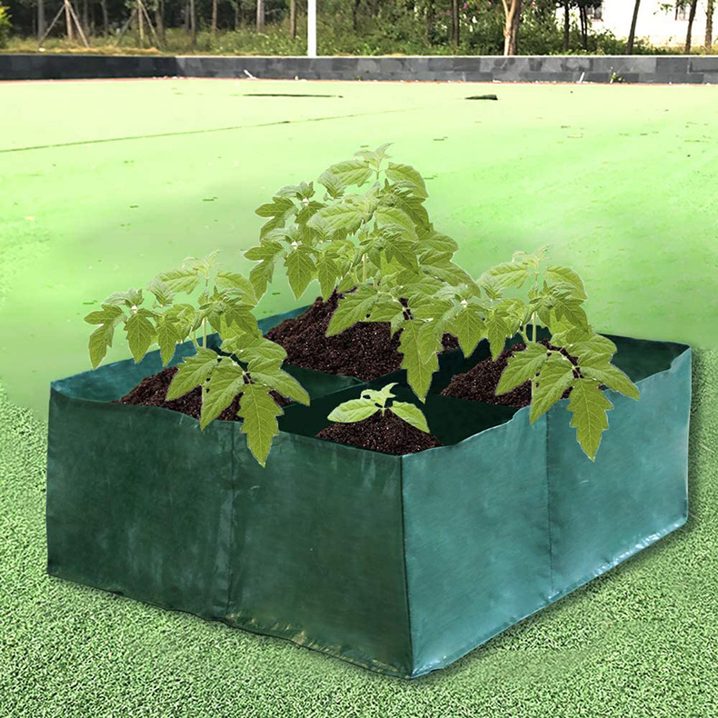 71ghyifX93L._AC_SL1000_