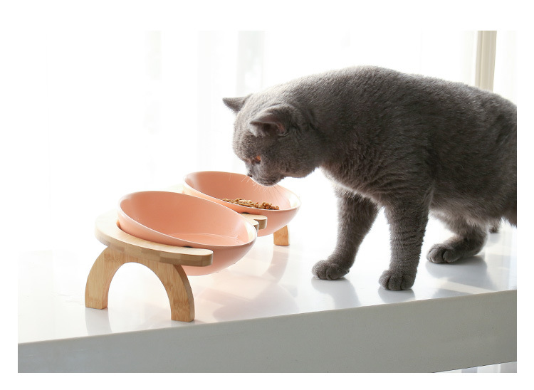 彩虹架猫碗_16.jpg