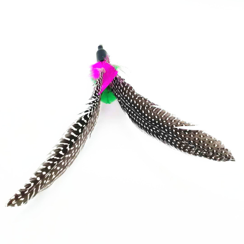 微信图片_20200927173544