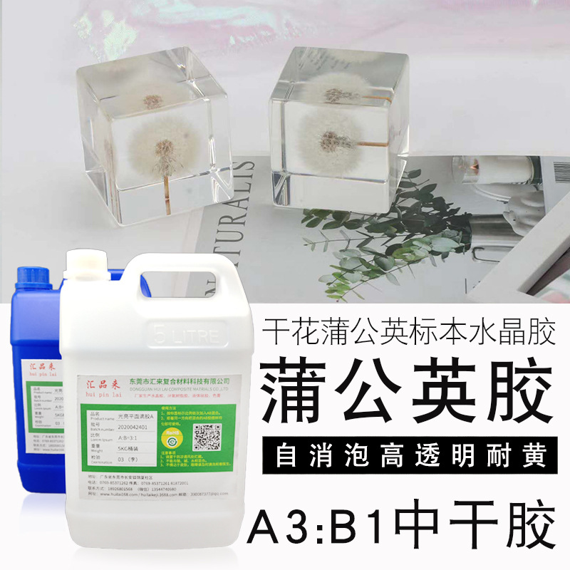 厂家直销蒲公英干花水晶胶 制作植物干花标本蒲公英镇