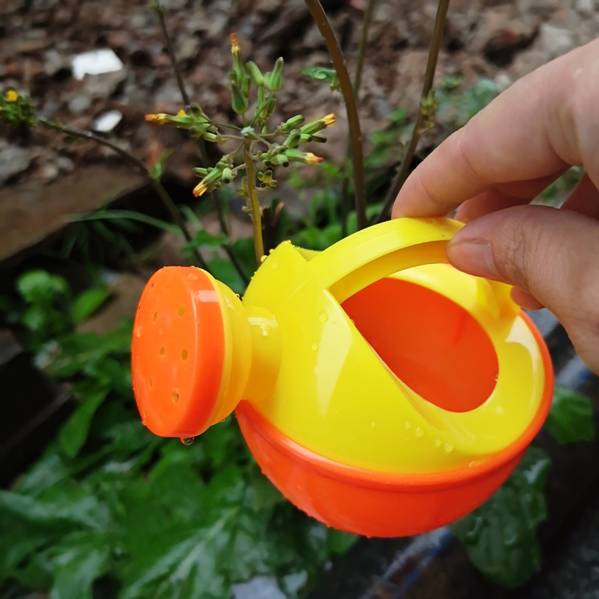 A792A05A548D2F66944250CF7810EE